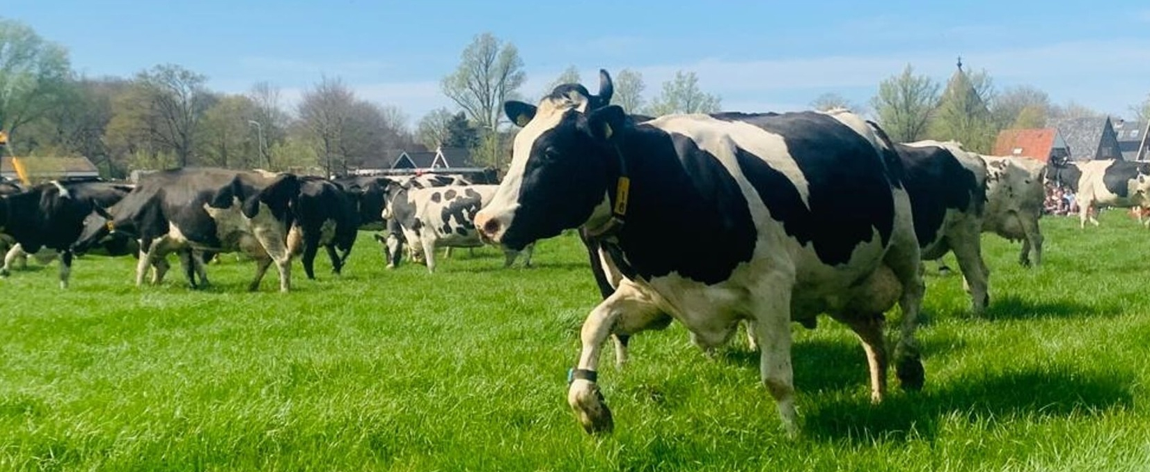 Onderweg naar een betere toekomst