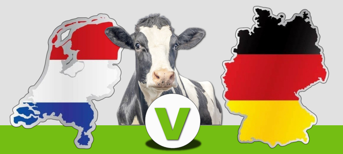 Veecomfort Sprachauswahl